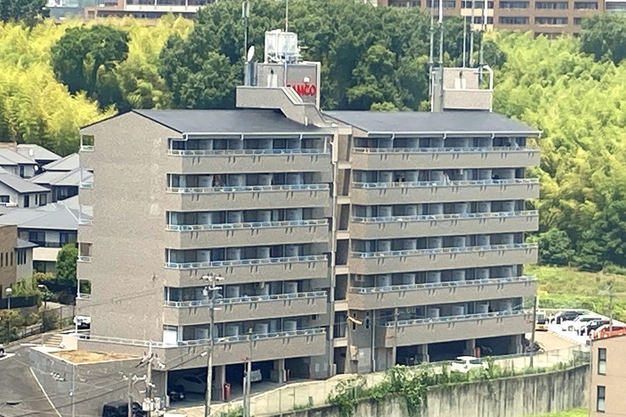 グランピーノ春日